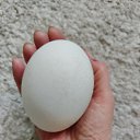 ���� V***, ���������, 57 ��� - ��������� 2 ��� 2026 � ������ �2026�