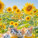 ���� Randar, ������� - ��������� 20 ������ 2026 � ������ ������ ��������