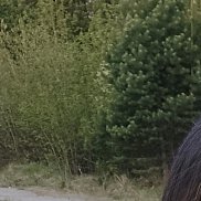 Alla, 19 , -