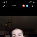 ���� Tolia, �����, 36 ��� - ��������� 17 ���� 2024