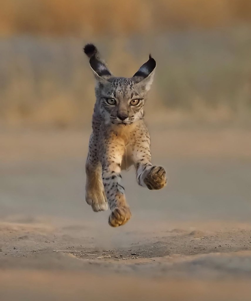 ���� ��������� ������ ��� ������������� ���������, ���������� � ����������������� ���������� ������ ... - 3