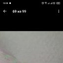 ���� �����, �����, 40 ��� - ��������� 14 ���� 2026 � ������ ���� ����������