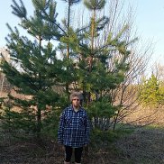 ������ ����������, 56 ���, ������