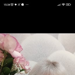 , 52, 