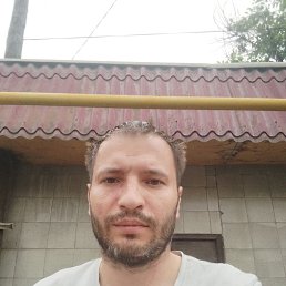 , 40, 