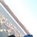 ���� ����� �������, ������, 37 ��� - ��������� 4 ��� 2025 � ������ ���� ����������