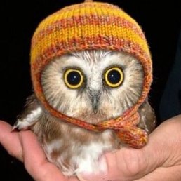 �������, ������, 34 ����