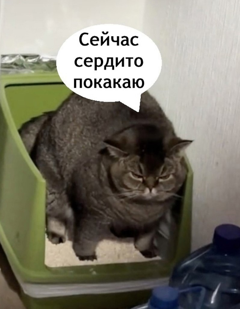  ,    ,      