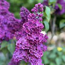 ���� ����, ���� - ��������� 19 ���� 2025 � ������ ���� ����������