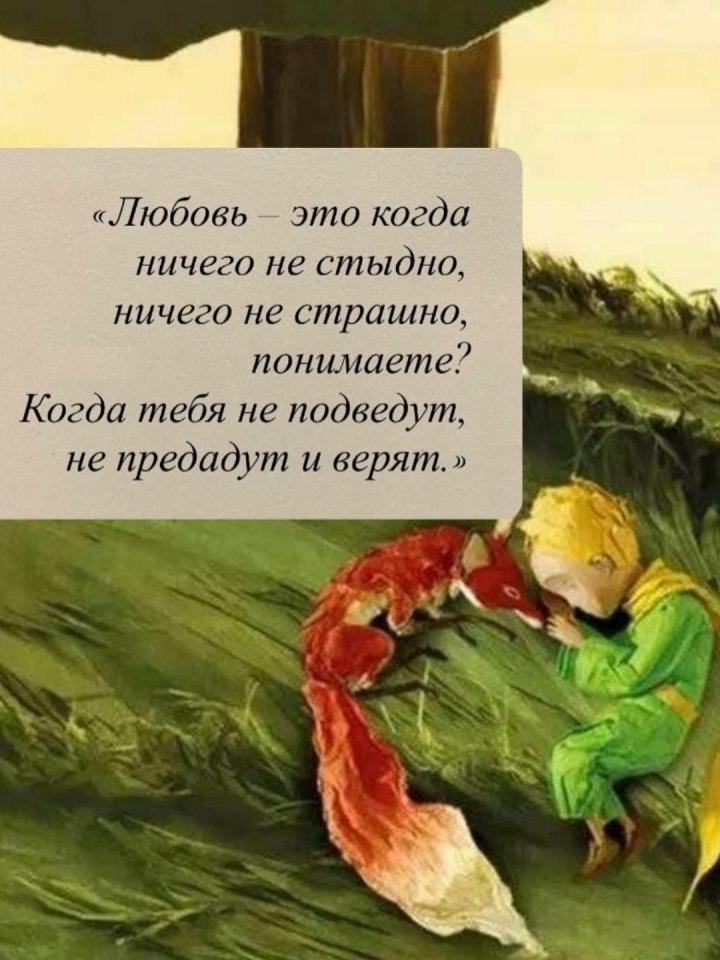Сильные фразы, которые нужны каждому из нас... - 4