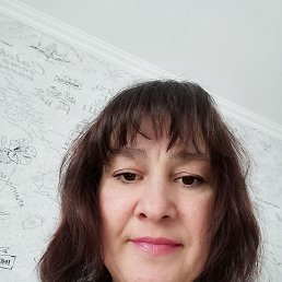 ���� ������, �����, 49 ��� - ��������� 23 ������� 2023