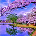 ���� 130) �����, ��������� - ��������� 5 ������� 2026