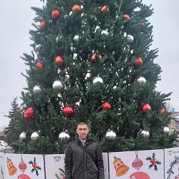 ������, ���������, 37 ���