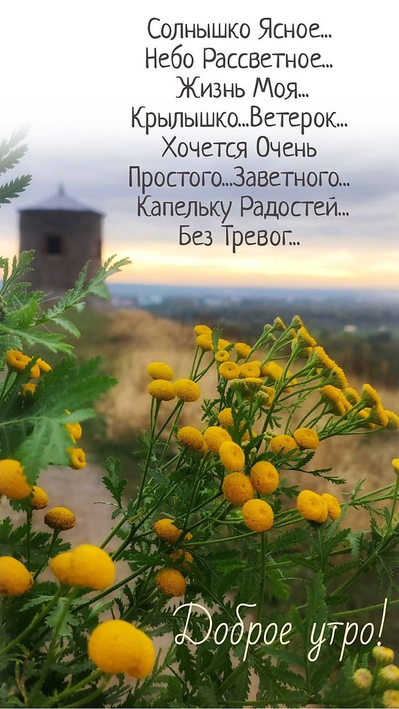   ,    . - 30  2025  23:36 - 4