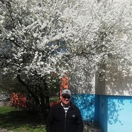 , 42, 