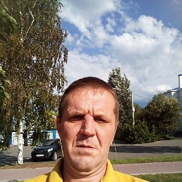 , 44, 