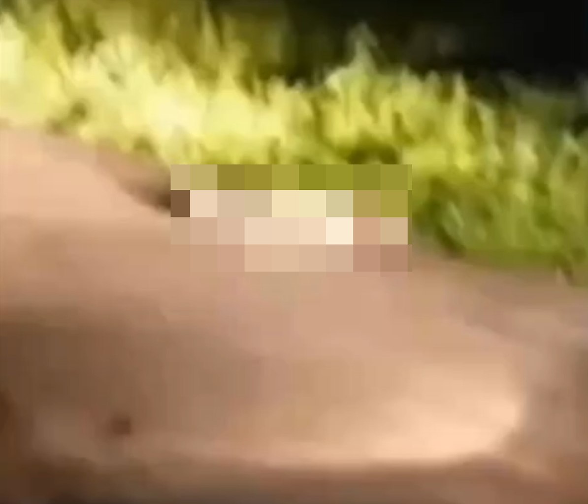   !            ... - 2