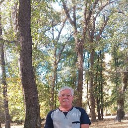 , 65 , 