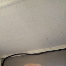 , 65, 