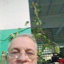 ���� �����, ����������, 61 ��� - ��������� 14 ������ 2026