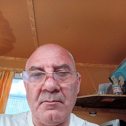 , 58, 