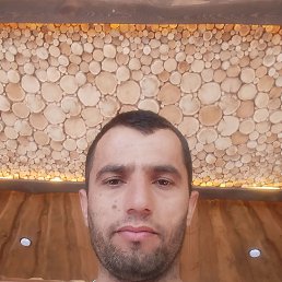 , 29, 
