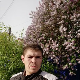 , 37, 
