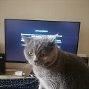 ���� ������, ��������, 54 ���� - ��������� 14 ������� 2025