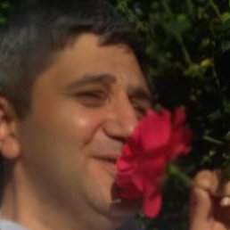 �����, ������, 43 ����