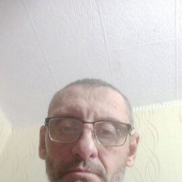 , 51 , 