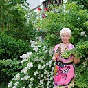 ���� �����, ������, 65 ��� - ��������� 29 ������ 2024 � ������ ���� ����������