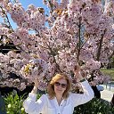 ���� �����, ������, 55 ��� - ��������� 4 ������� 2026