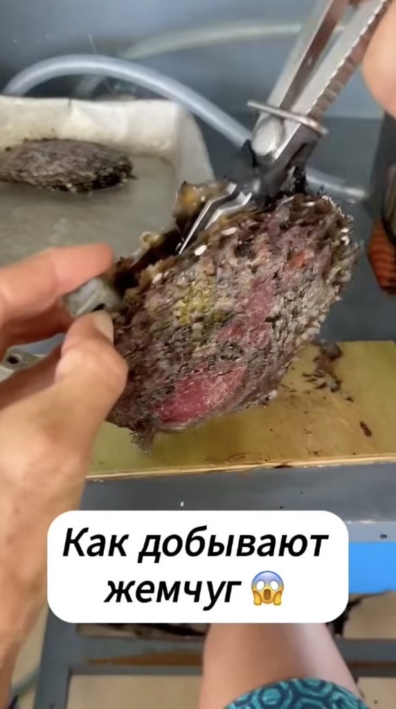    -.