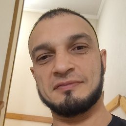 ����, ����, 40 ���