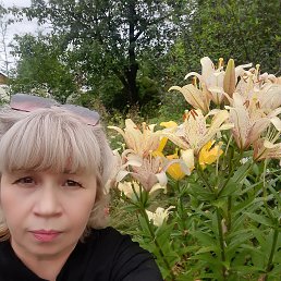 ���� ���, ���������, 56 ��� - ��������� 12 ������� 2025