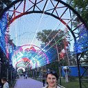 ���� �������, �����������, 62 ���� - ��������� 27 ������� 2025 � ������ ���� ����������