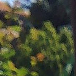 , , 49 