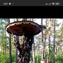 ���� �������, ���������, 51 ��� - ��������� 7 ��� 2025 � ������ ���� ����������