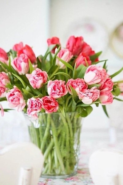 ������� ������ ������ - 6 ������ 2024 � 06:43 - 6