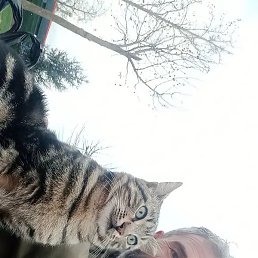 Murat, ������, 41 ���