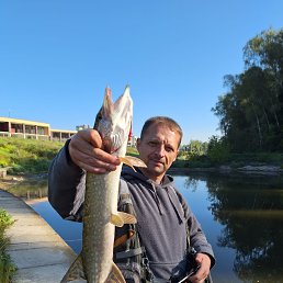 , 37, 