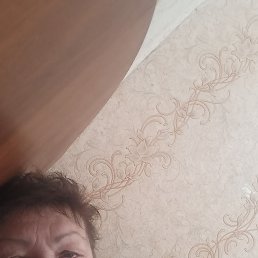 , 61, 