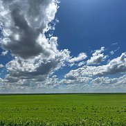 �����, 49 ���, �������