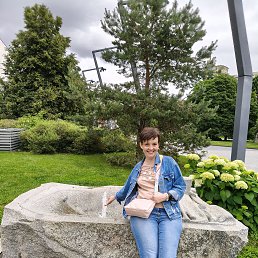 , 48, 