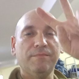 �������, ���������, 43 ����