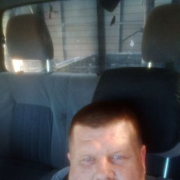 , 41, 