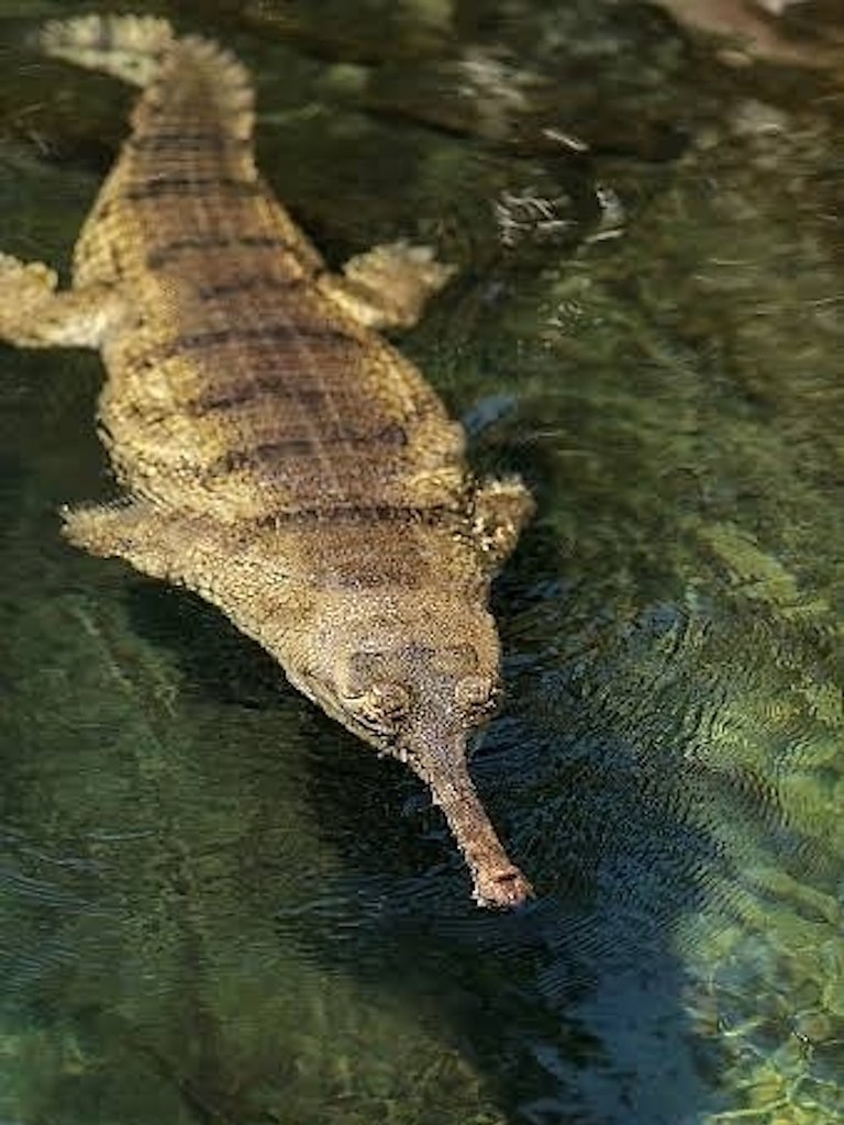  ,   ,     .  ,    ... - 2