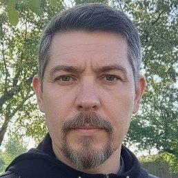 ����, ������, 41 ���