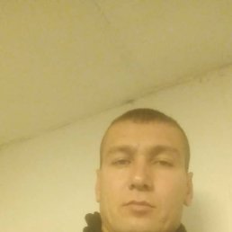 , 37, 