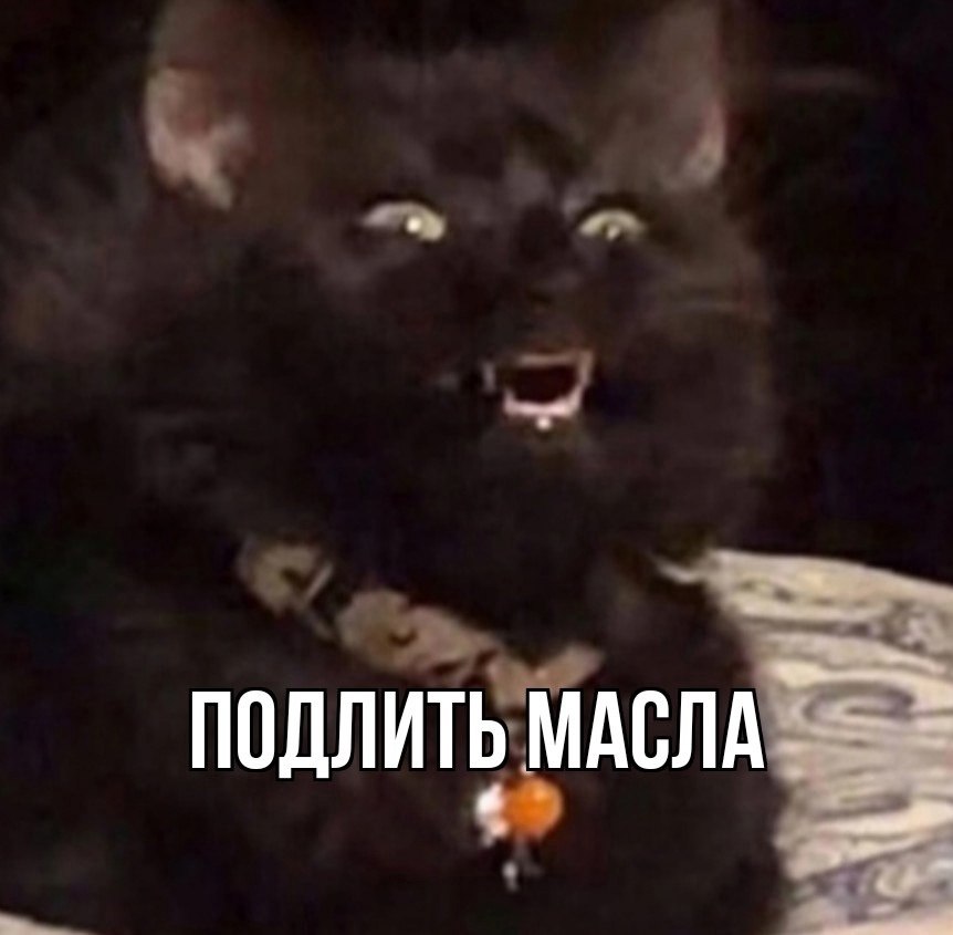  -  ,  -  - 16  2025  09:29 - 2